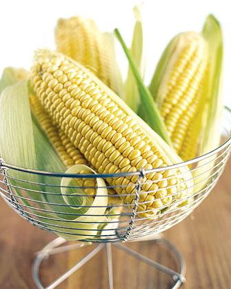 تعتبر الذرة جزءا اساسيا من غذاء الكثير من المجتمعات والشعوب