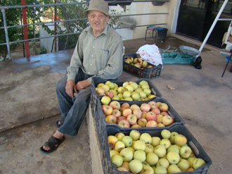 ابو مي متى يعرض بعضا من محصول التفاح أمام منزله