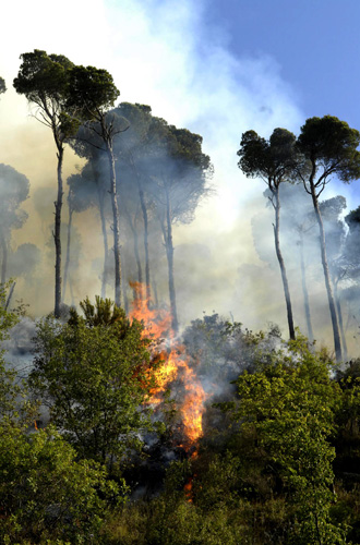 متنزهون يحوّلون الأحراج مستوعباً للقاذورات الموقوتة وحرائق