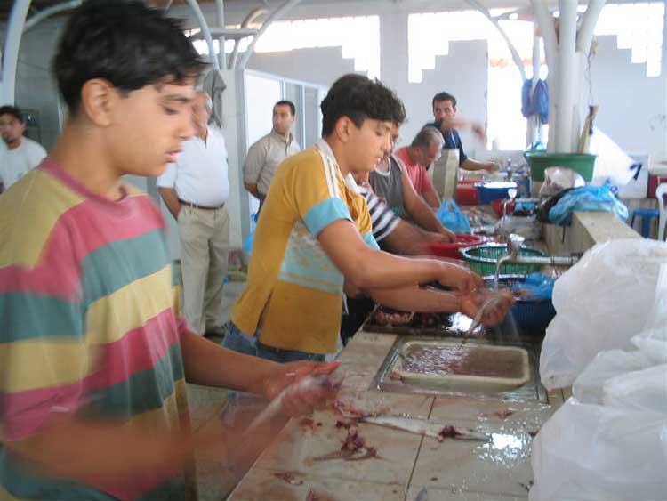 سوق السمك صار في بيروت: عمري 16 سنة