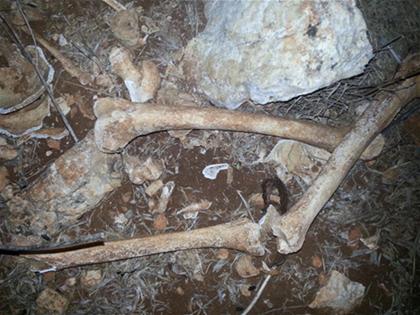 بقايا عظام عثر عليها في الخيام