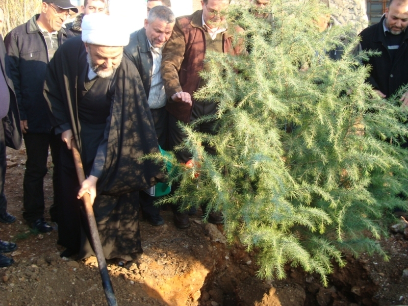 الشيخ قاووق يزرع شجرة ارز في حديقة شهداء المعتقل