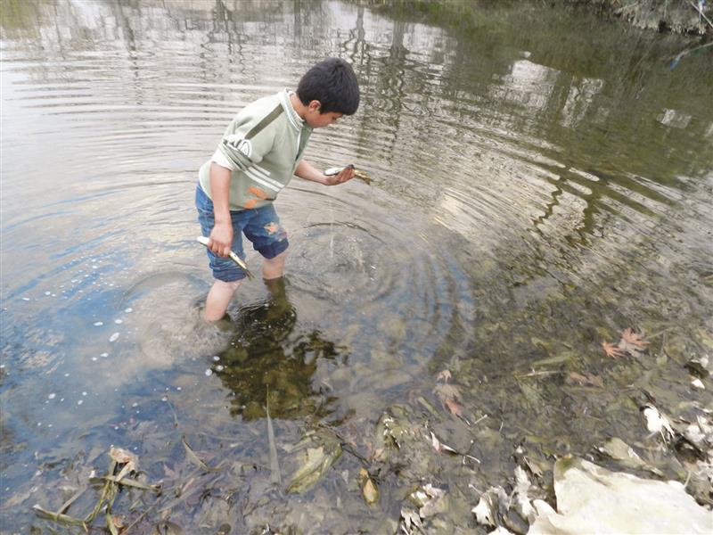 طفل يجمع أسماكاً نافقة (طارق ابو حمدان)