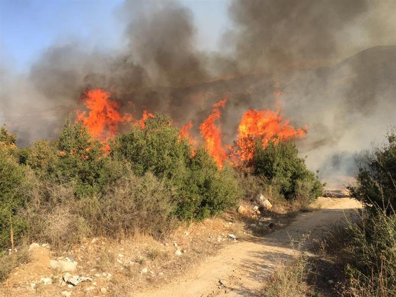  النيران تلتهم احراج في السلامية (طارق ابو حمدان)