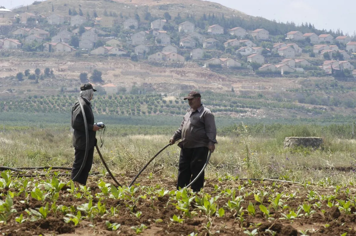 مزارعان يرويان مزروعاتهما في سهل الخيام وتبدو مستعمرة المطلة داخل فلسطين المحتلة (الصورة من أرشيف كامل جابر)