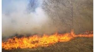 اندلاع حريق كبير في خراج ميس طال مساحة شاسعة من المزروعات