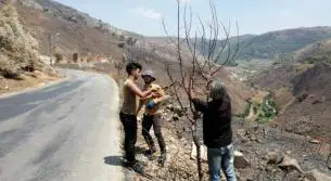 خطة عمل طارئة لإنقاذ الاحراش والاشجار في محمية وادي الحجير