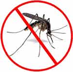 anti mosquito