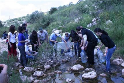 جانب من نشاط المتطوعين (طارق أبو حمدان)