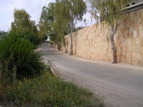 بلدة جناتا