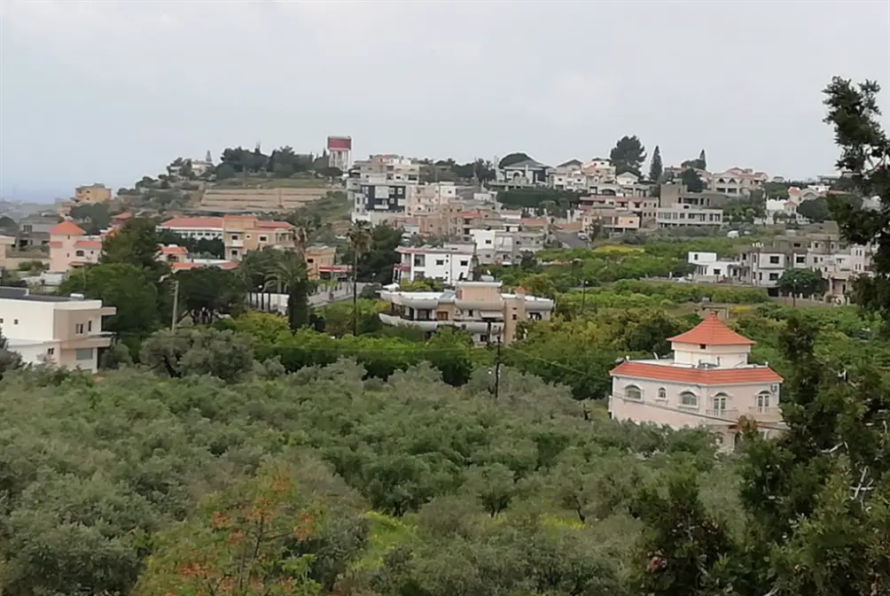 بلدة جناتا