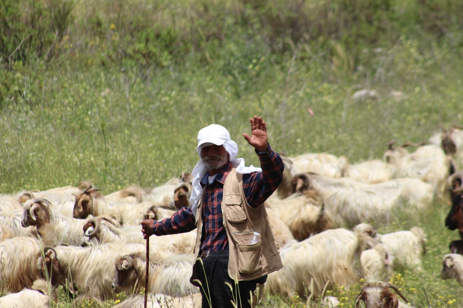 من بلدة الخيام، الحاج حسين سويد وسائر مربو الماشية يتحلون بالشجاعة والإيمان، رغم أنهم متروكون لمواجهة مصيرهم وحدهم، متمسكون بأرضهم وقطعانهم كآخر خط دفاع عن مورد عيشهم