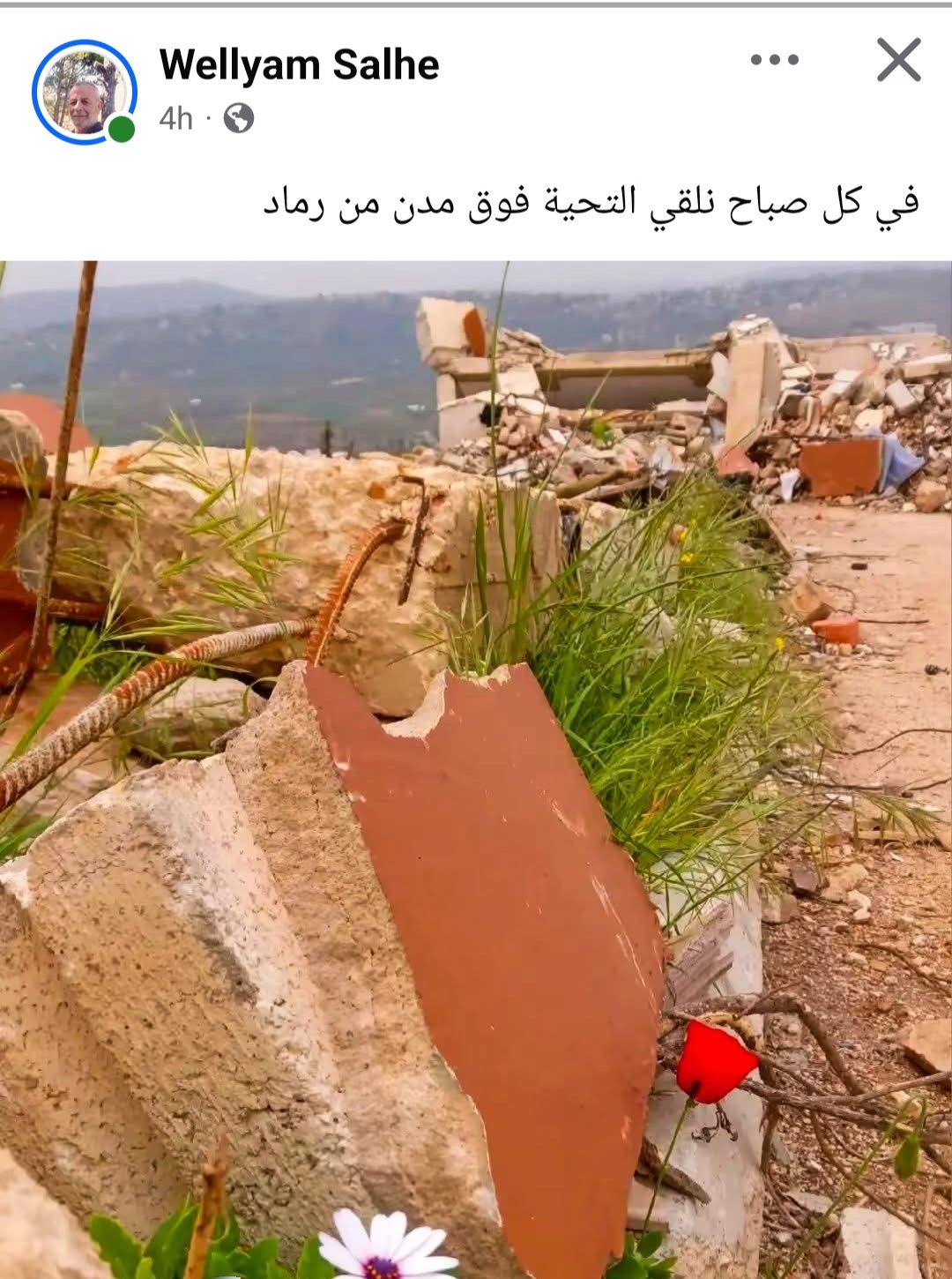 (تصوير وليم صالح)