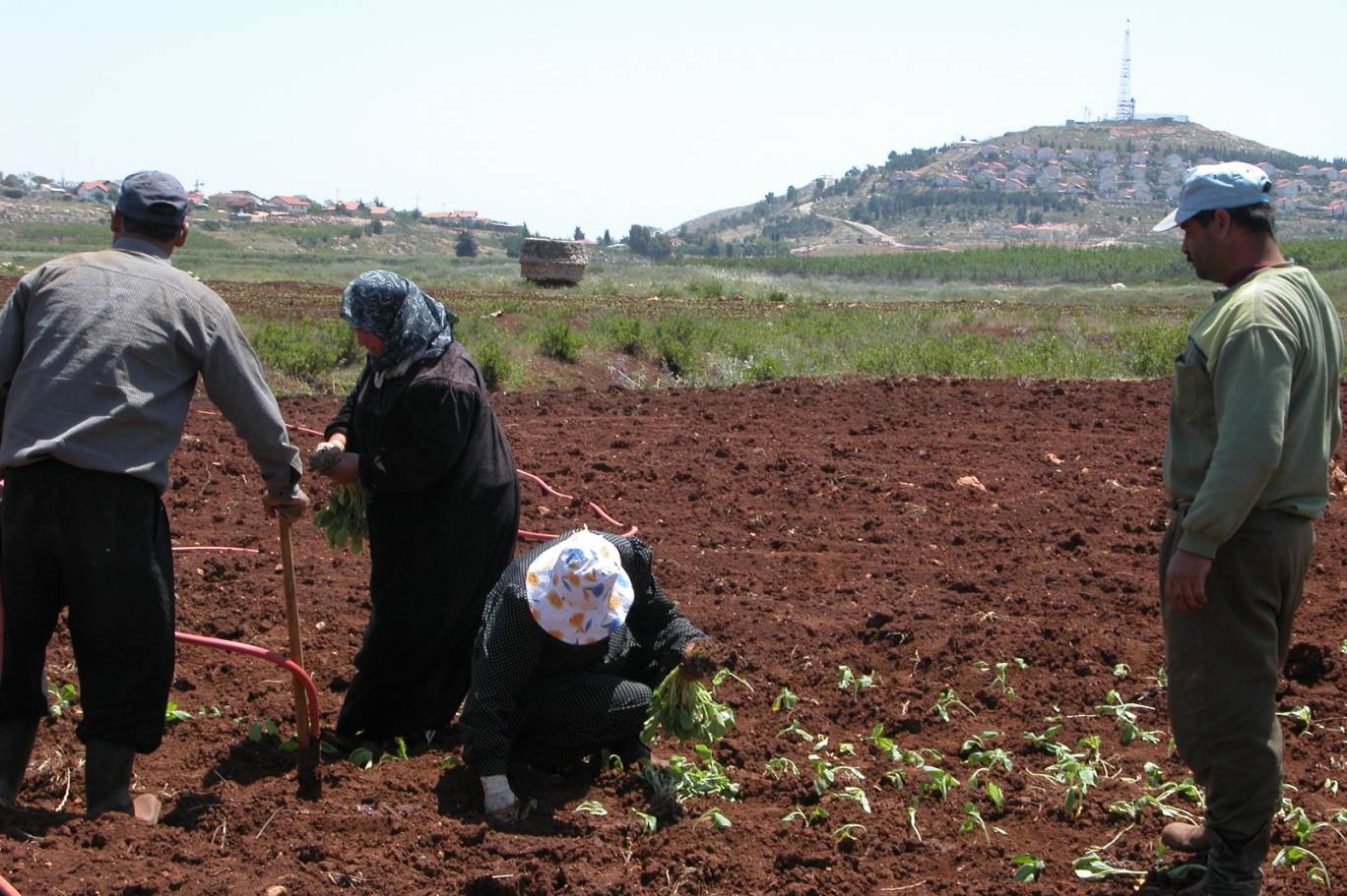 كفركلا قبل الحرب الأخيرة والدمار