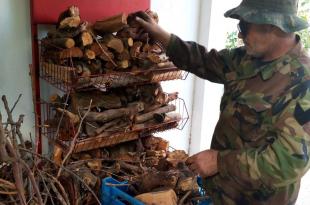 قرى لبنانية تضحي بأشجارها لتأمين حطب التدفئة عوضاً عن المازوت