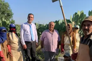 قائمقام حاصبيا تابع مع وزير الزراعة مشكلة تصريف إنتاج فاكهة الصبير