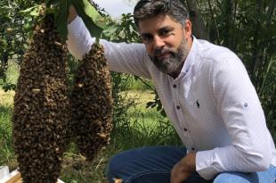 تحدّيات تربية النحل: العسل المرّ