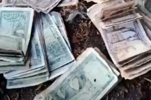 نحات عثر على نقود بالليرة موضبة في جذع زيتون