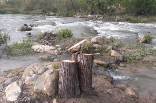 مجزرة بيئيّة على ضفاف نهر الخردلي