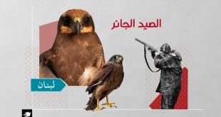 مجازر الطيور المهاجرة.. لبنان مصيدة الفصائل النادرة