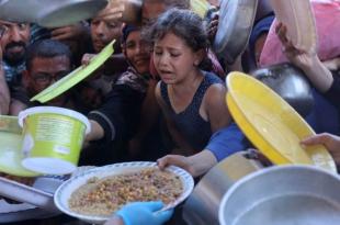 مصر توقف تسلم المساعدات بعد تكدسها على حدود غزة