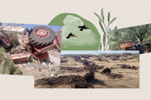 عام زراعي ثالث من هجران المواسم للقرى الجنوبيّة الحدوديّة