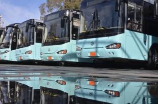 بالفيديو: عونٌ قطري في زمن الحاجة.. 30 باصاً للنقل العام