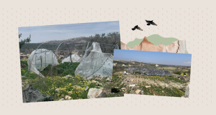 مزارعو القرى الحدوديّة: مساعدات وزارة الزراعة هزيلة أو غير متوافرة