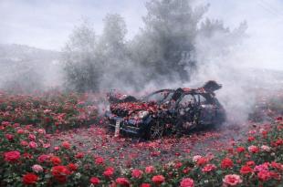 الشاعرة هدى صادق: دماء الشهداء تروى الأرض زهرا في بث مباشر لا يتوقف