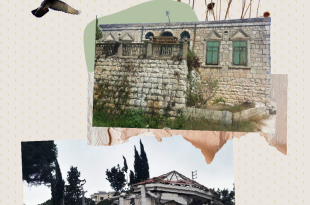 كامل جابر: ”إسرائيل“ تواصل تدمير تراث الجنوب المعماري والأثري