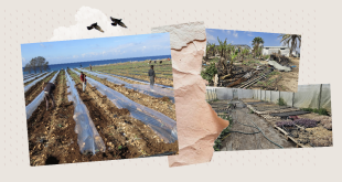 مواسم الجنوب تحت النار والمزارعون بين فكي النزوح والديون