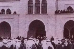 البغال المحمّلة.. حكاية من تراث الخيام
