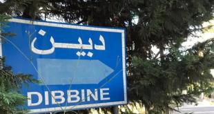 عدنان سمور: تلّ دبّين.. لغزٌ حيّر العقول