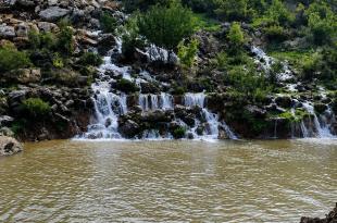 نبع سريد.. هدير الماء الذي كانت تسمعه الخيام وثروة مائية يهددها الجفاف