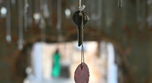 كامل جابر: استيطان إسرائيلي في جنوب لبنان.. وهم أيديولوجي أم مشروع ينتظر لحظته؟